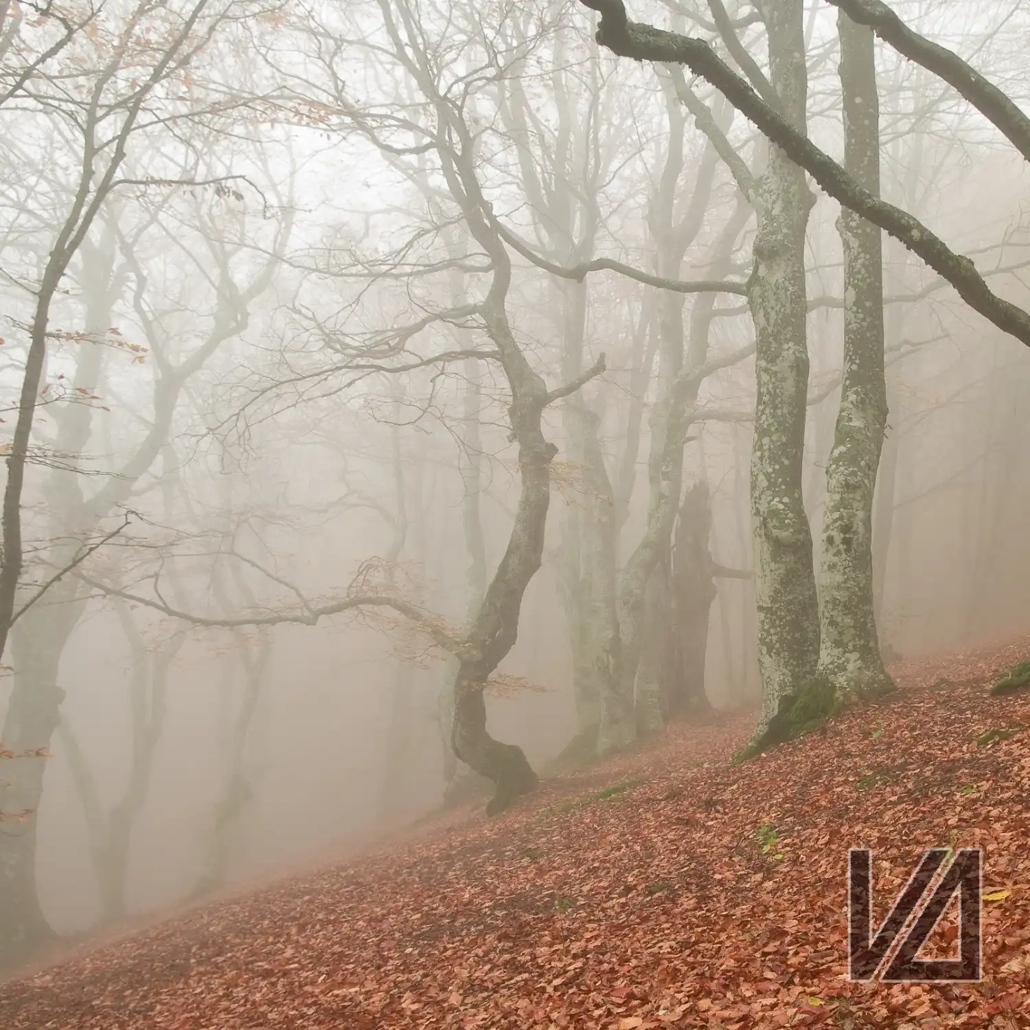 MYST
